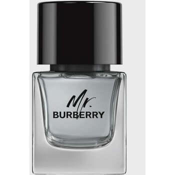 Mr. Burberry EDT